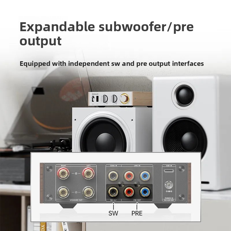 FiiO Horizon Level 1 High Powe - Audio Music System For Home ulasan dan harga